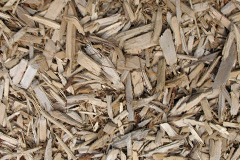 biomass boilers Langrick